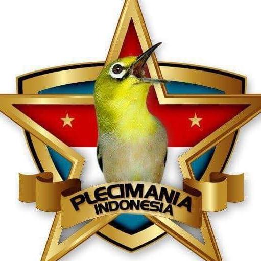PCMI ( Pleci Mania Indonesia) 